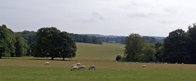 33 Hinton Ampner.JPG - KONICA MINOLTA DIGITAL CAMERA